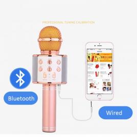 Microfon wireless sistem karaoke profesional cu boxe si Bluetooth WS-858