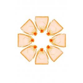 Saculeti organza, 8x11 cm, 25 bucati, Orange , OBAGMEDIUM