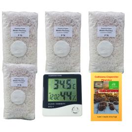 Set include 4 Pungi de Mceliu Pleurotus (Italspawn) 1 termometru higrometru LCD + Bonus Curs specializat în cultivarea ciupercilor Pleurotus.