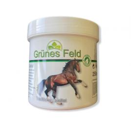 Crema activa pentru calmarea durerilor musculare Puterea Calului Grunes Feld, 250ml.