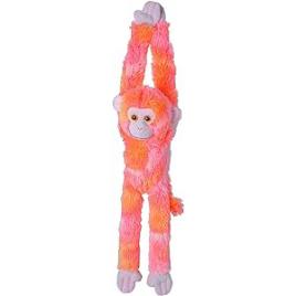 Maimuta care se agata roz
