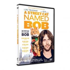 Un motan pe nume Bob / A Street Cat Named Bob [DVD] [2016]
