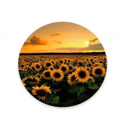 Mousepad floarea soarelui 20 x 20 cm, creative rey®