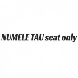 Sticker personalizat seat only 20 cm, creative rey®