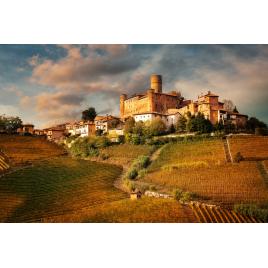 Fototapet autocolant PVC Castelul Falleto, Italia, 160x240 cm